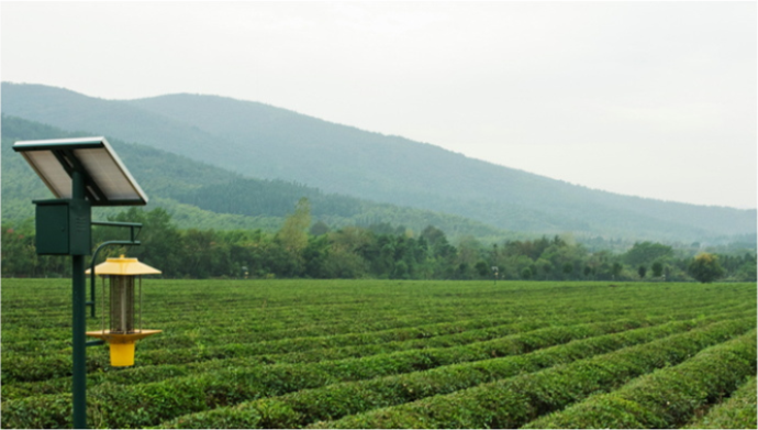 安装物理防虫设备，有效杀灭大型害虫