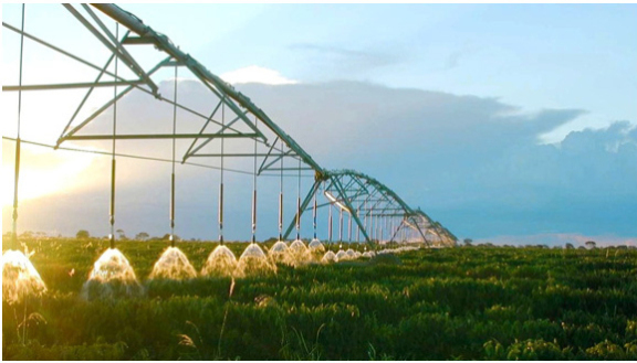 农场云物联网，实时监控蔬菜生长