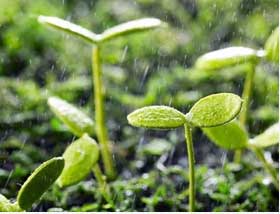 “北京农业好品牌”首次发布，北菜园成功入选