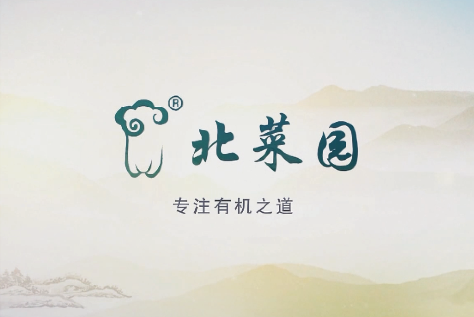 北菜园2017