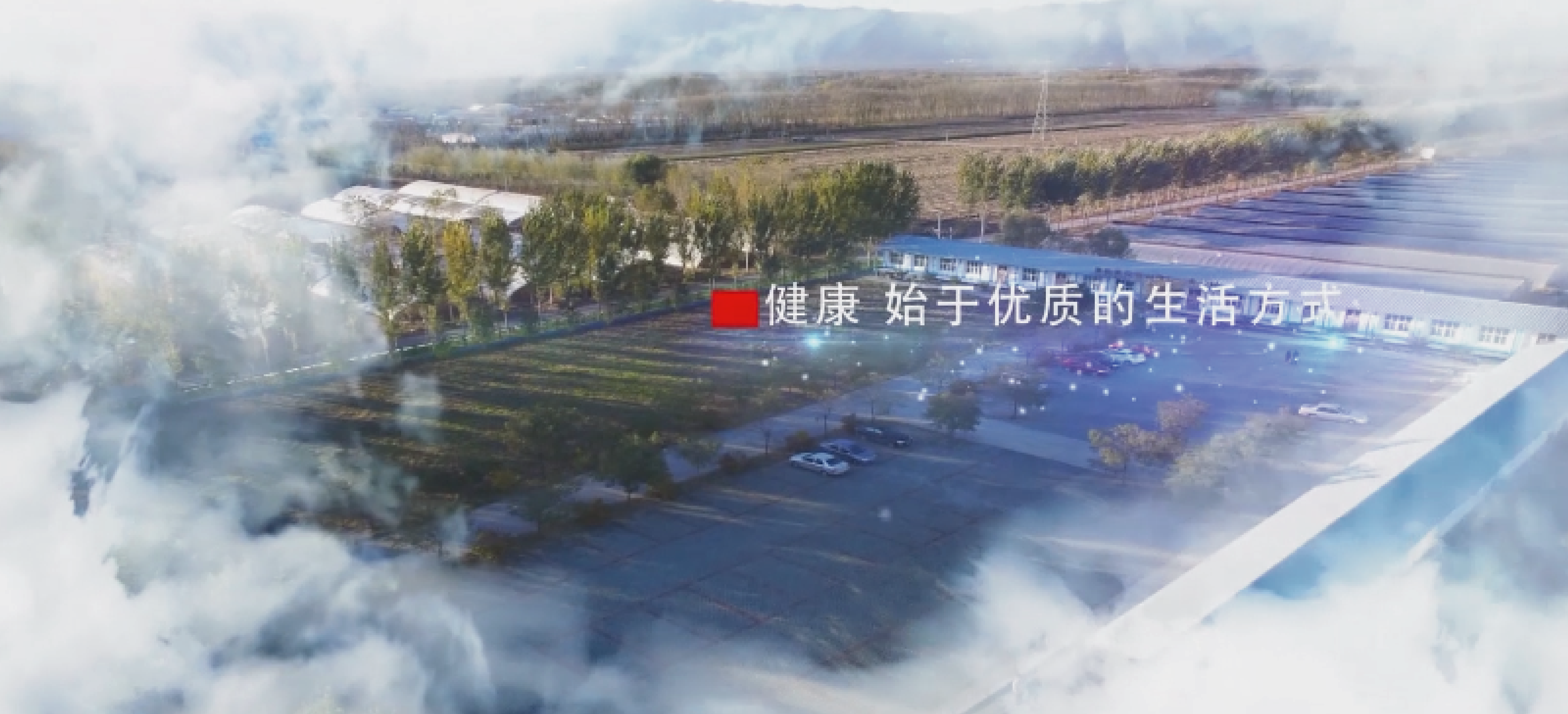 北菜园2017